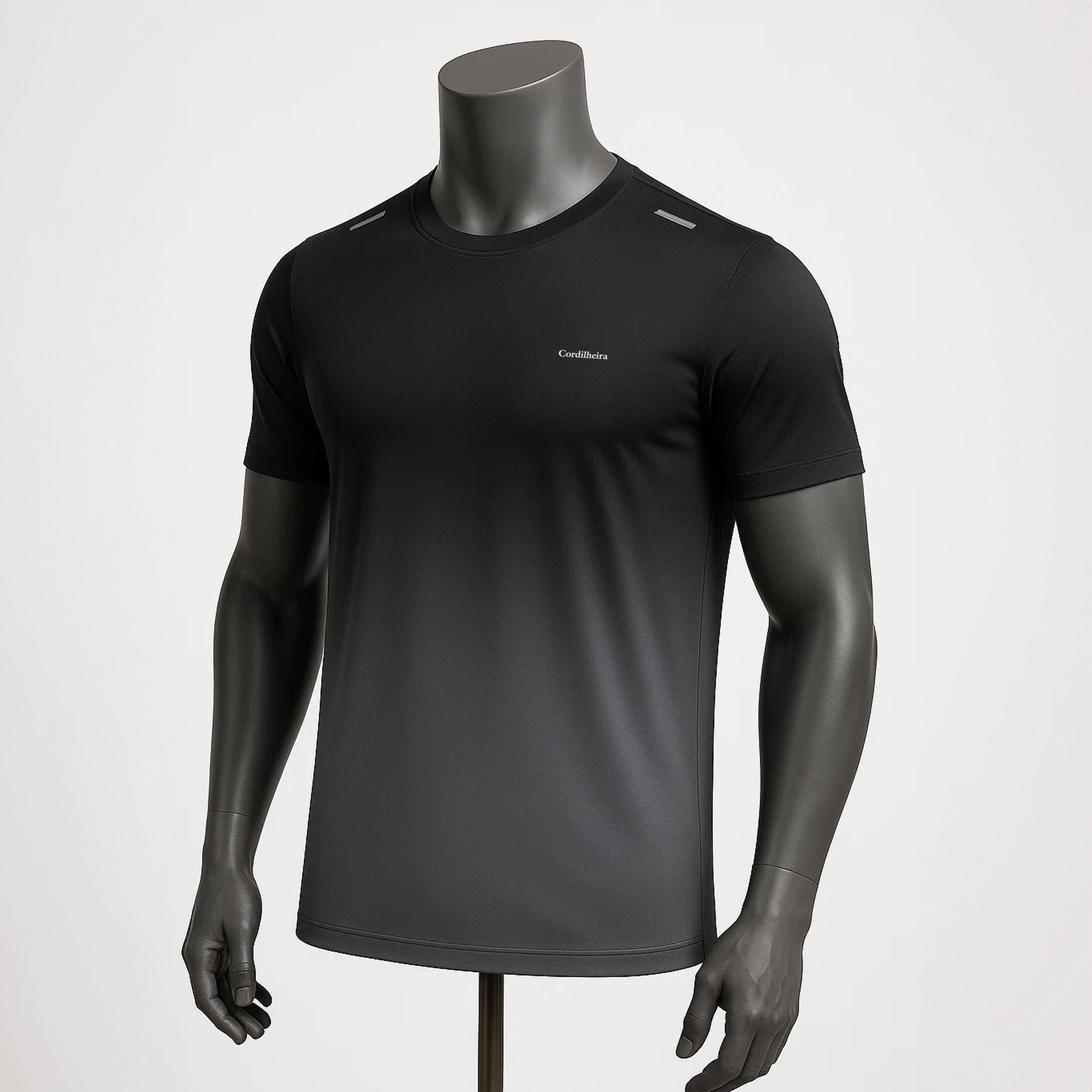 CAMISETA CORDILHEIRA GRADIENT MASCULINA