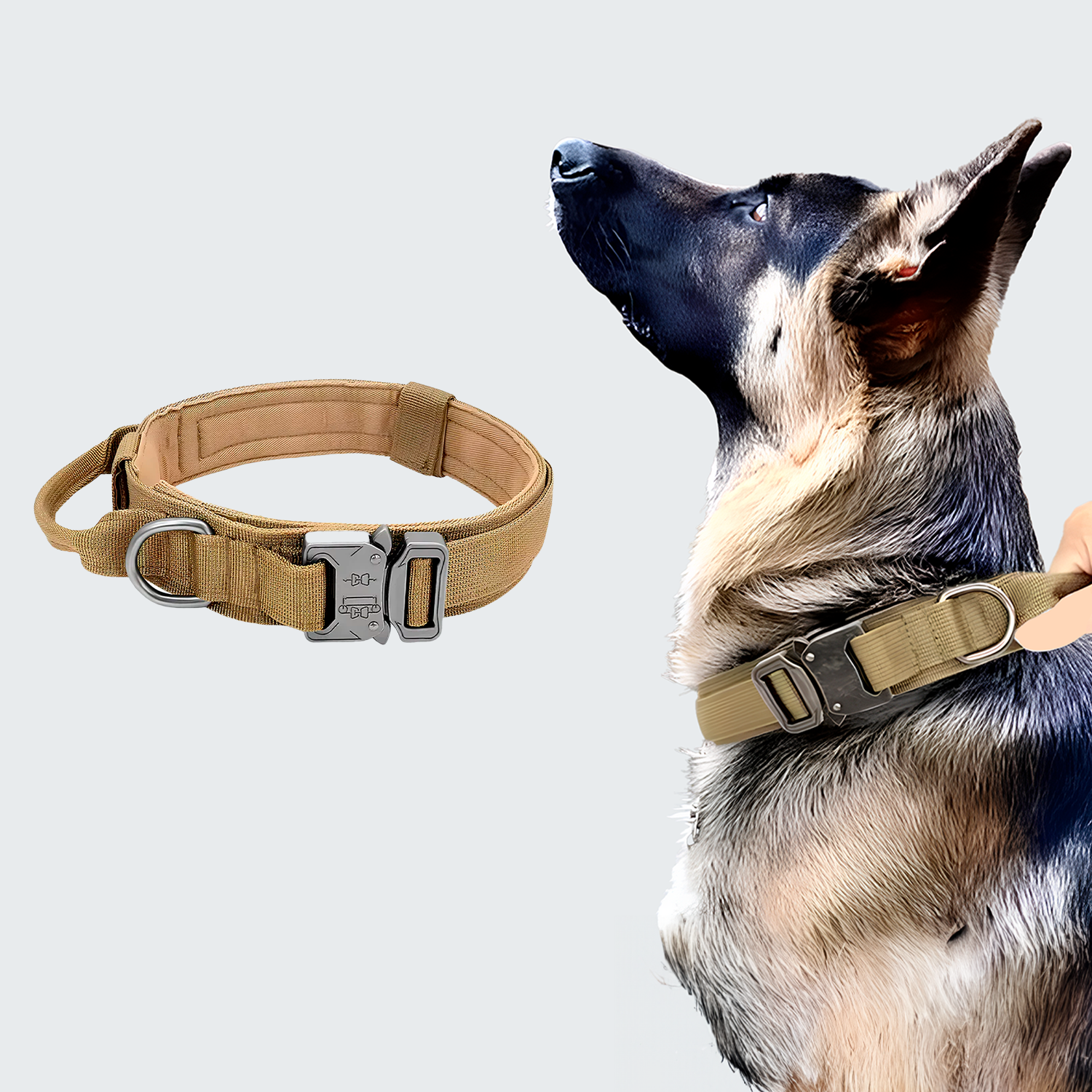 Coleira Cordilheira® Basic