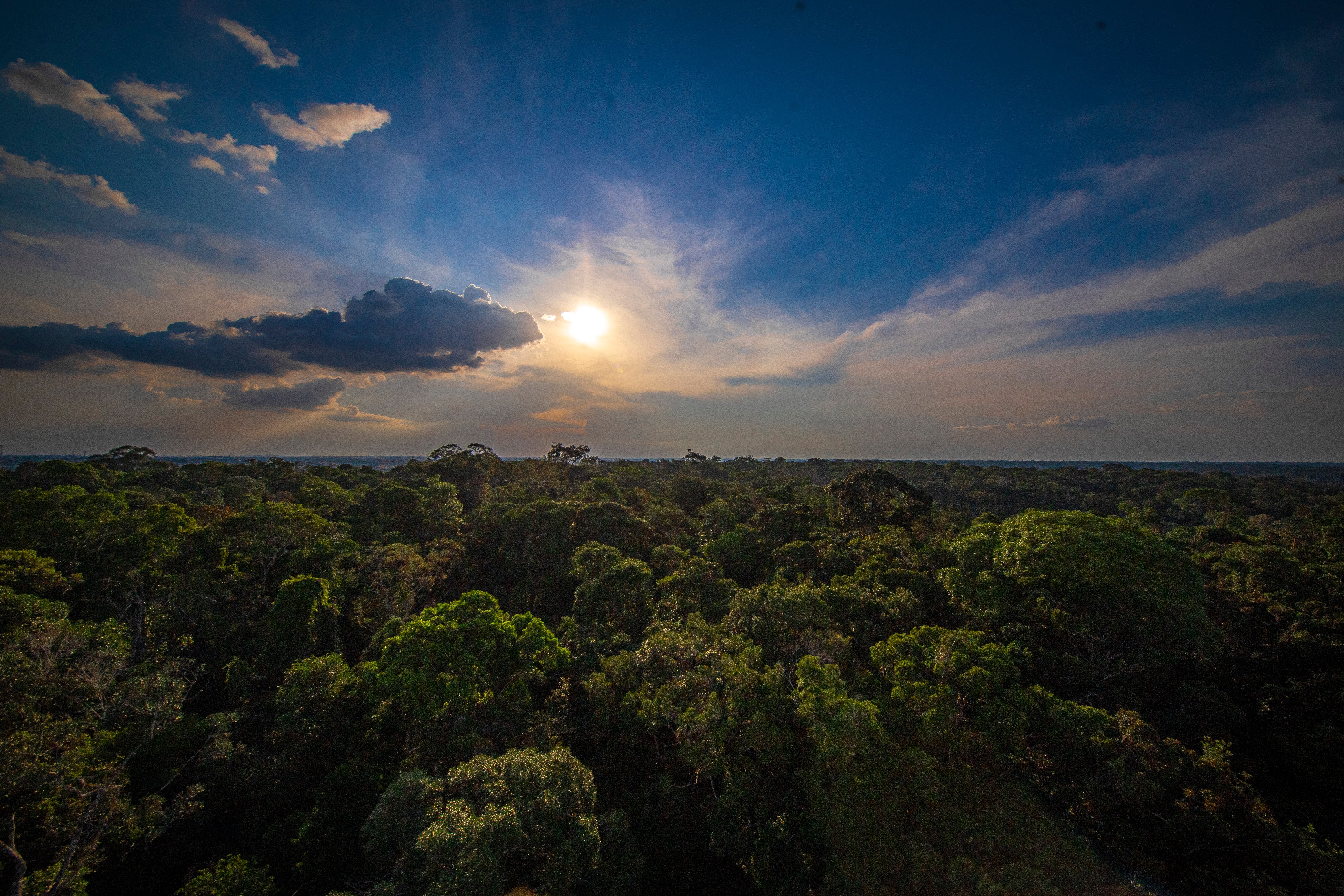 As Rotas Imperdíveis para Explorar na Amazônia