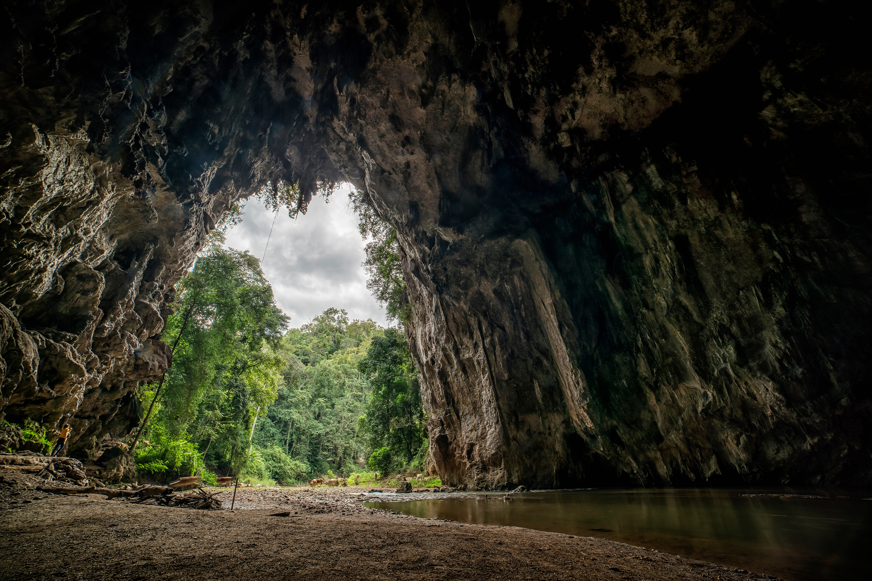 Conheça As Principais Cavernas Do Brasil