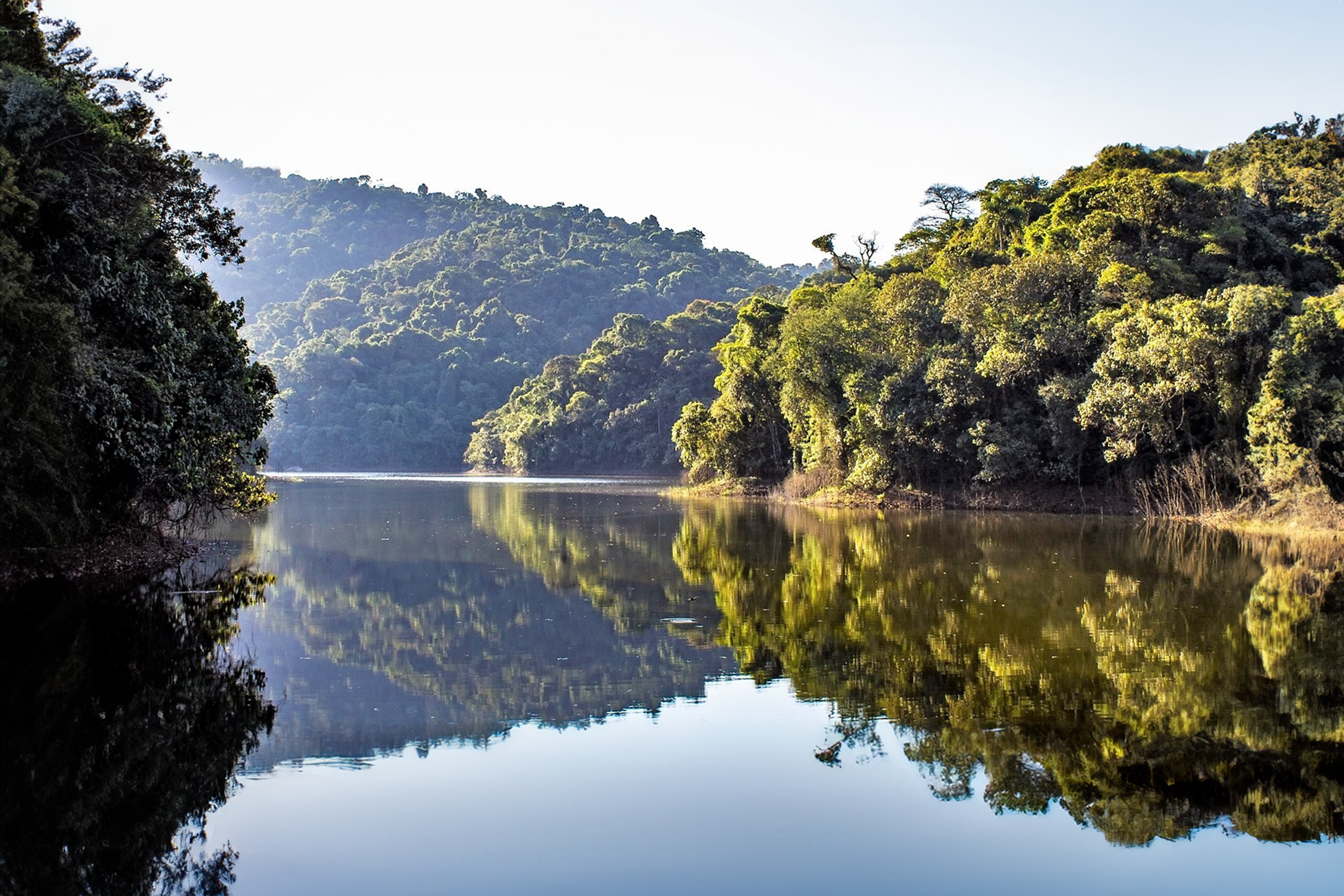 Descubra o Parque Estadual da Cantareira: Um Refúgio Natural em São Paulo